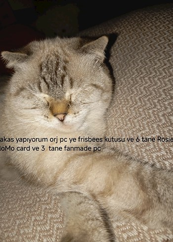takas yapıyorumm