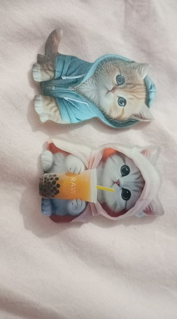 Renkli Kapüşonlu Kedi Aksesuarları - Görsel 2