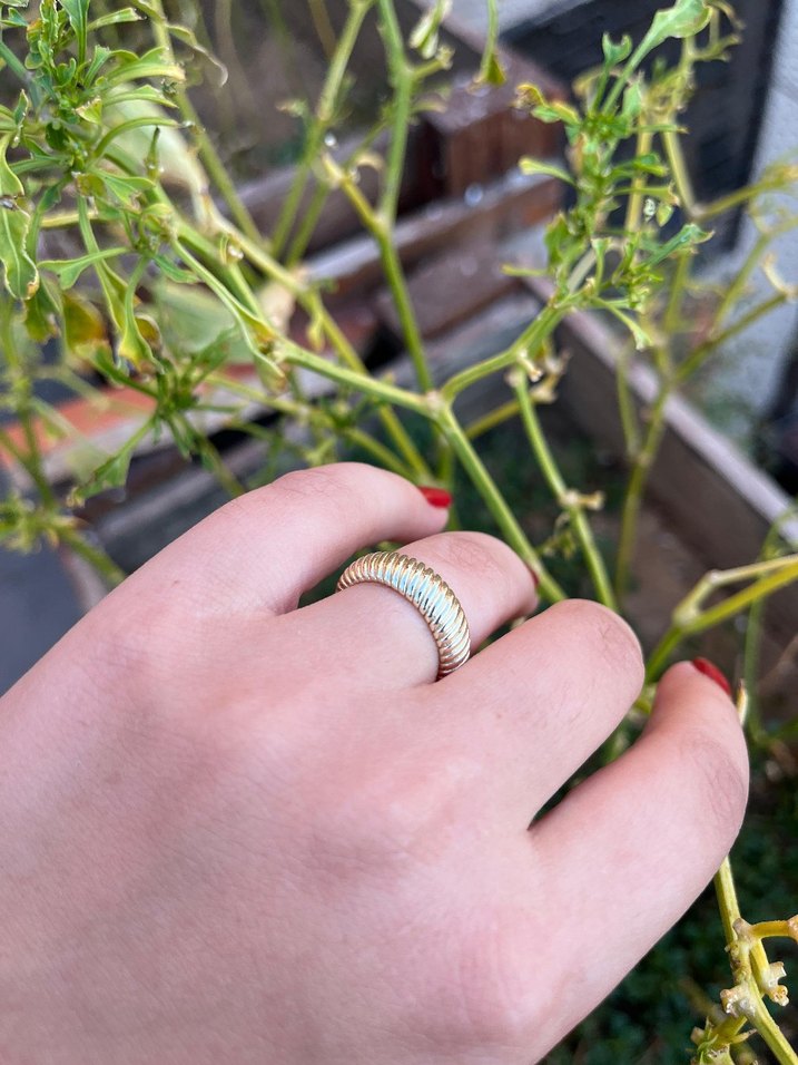 Çelik Burgu Desenli Kadın Yüzük - Görsel 2