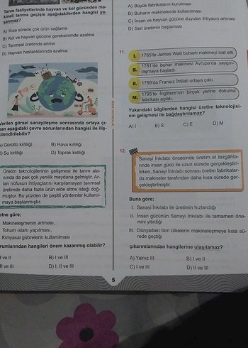Beden Renk İsem Sosyal Bilgiler Haftalık Ders Föyü