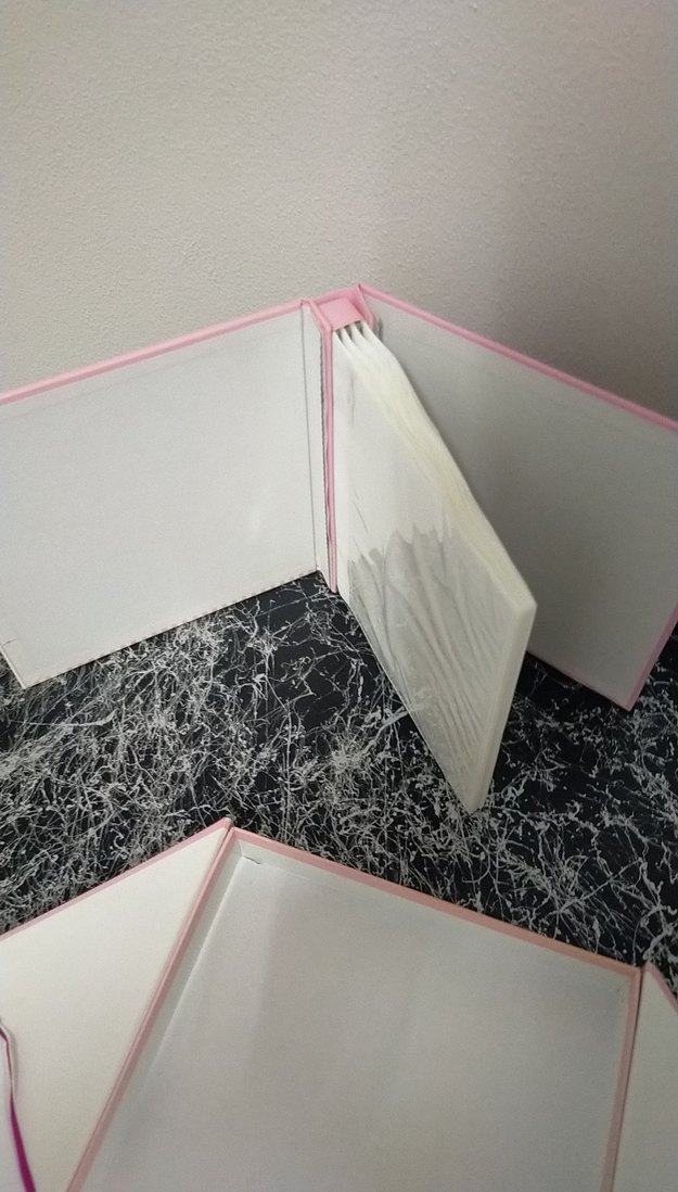 Kalpli Pembe Fotoğraf Albümü - Görsel 2