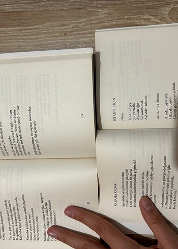 Orhan Veli ve Behçet Necatigil Şiir Kitapları - Görsel 2