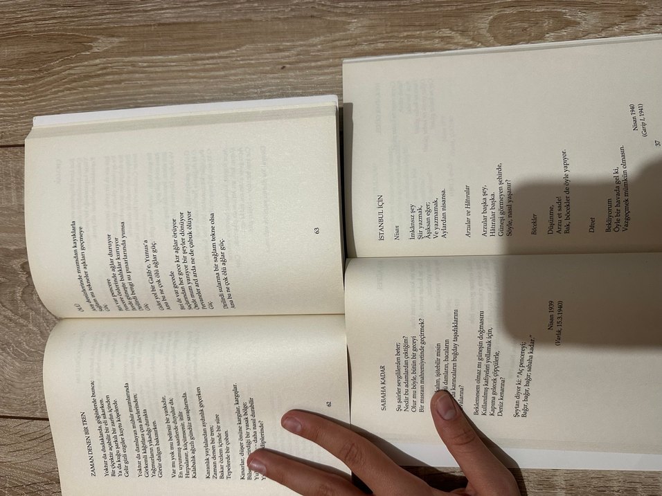 Orhan Veli ve Behçet Necatigil Şiir Kitapları - Görsel 2
