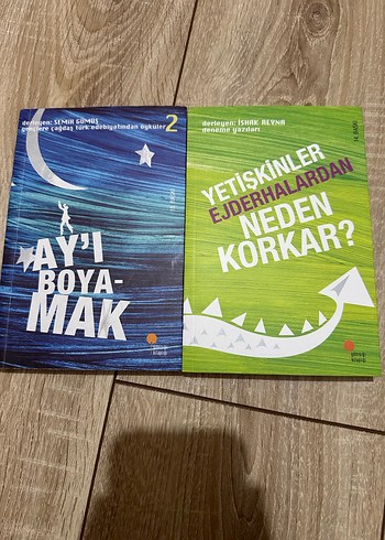Ay'ı Boyamak ve Yetişkinler Ejderhalardan Neden Korkar?