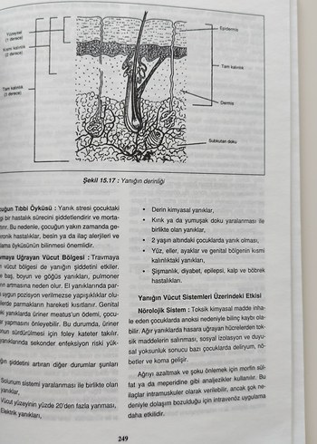 Çocuk Sağlığı Hemşireliği Cilt 2 - Genişletilmiş 6. Baskı - Görsel 4