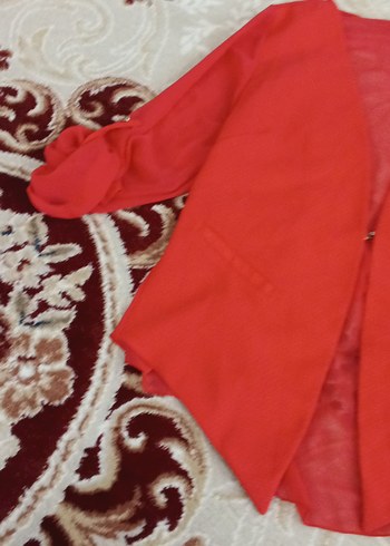 Kırmızı Mini Kadın şifon Ceket - Görsel 3