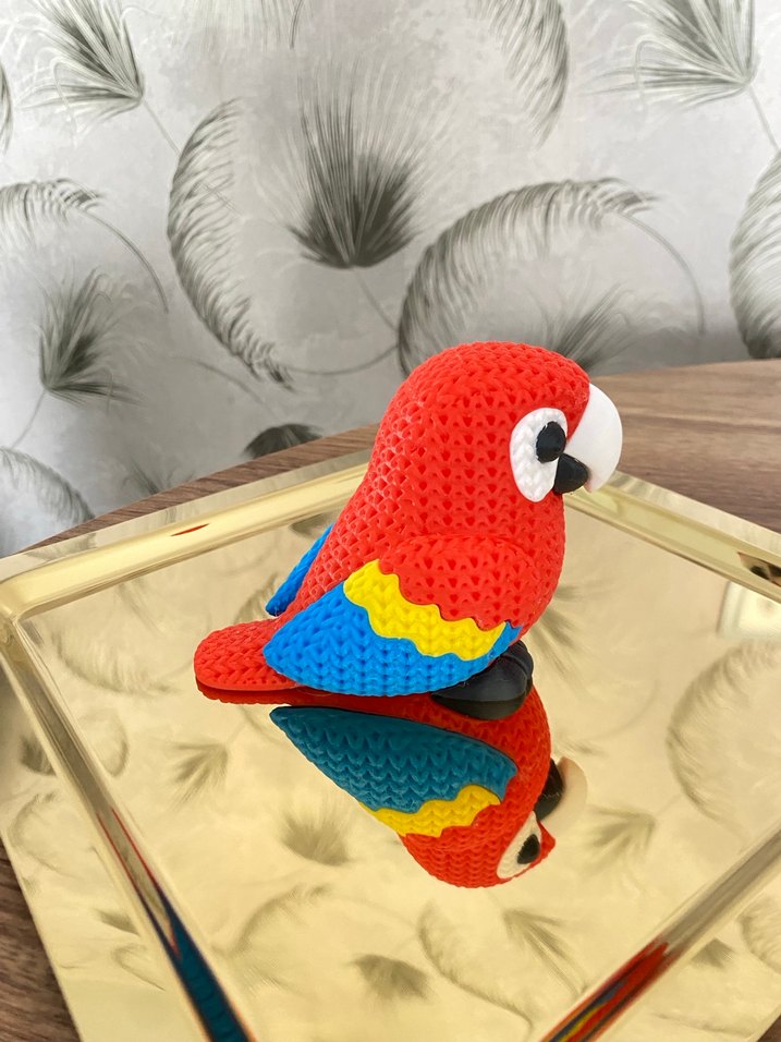 Renkli Kırmızı Papağan - Görsel 2