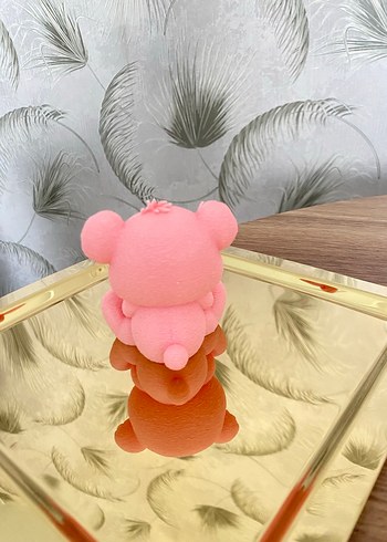 Sinirli ayıcık - Görsel 3