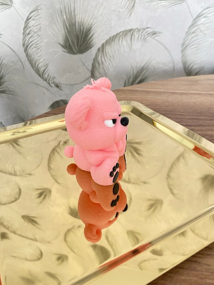 Sinirli ayıcık - Görsel 2