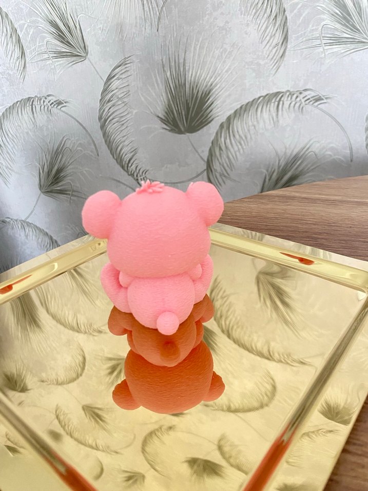 Sinirli ayıcık - Görsel 3