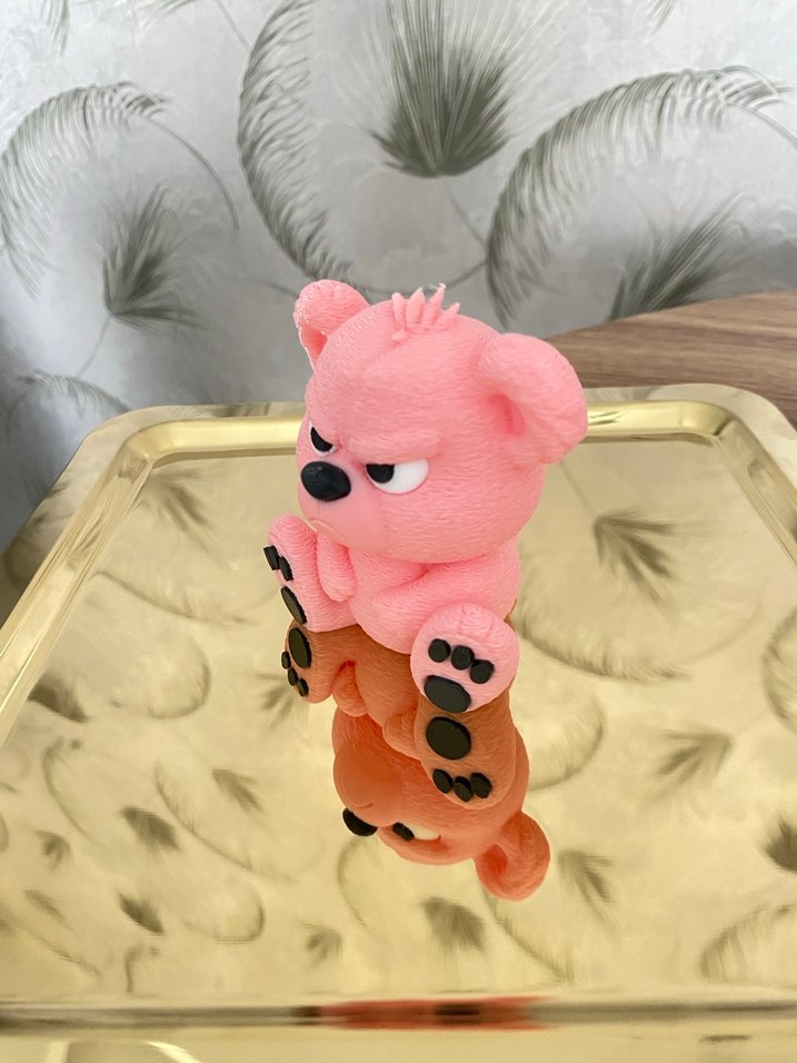 Sinirli ayıcık - Görsel 4