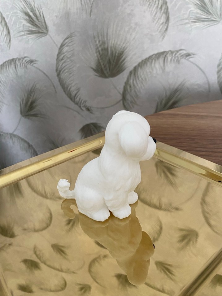 Beyaz Minik Oyuncak Köpek - Görsel 3