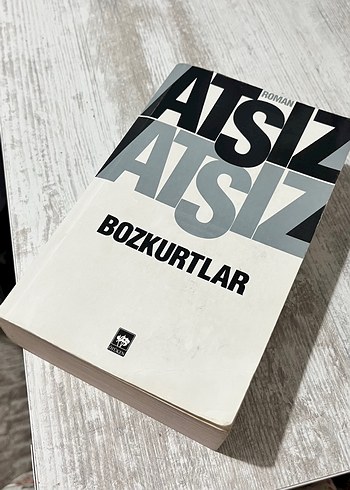 Atsız - Bozkurtlar Romanı