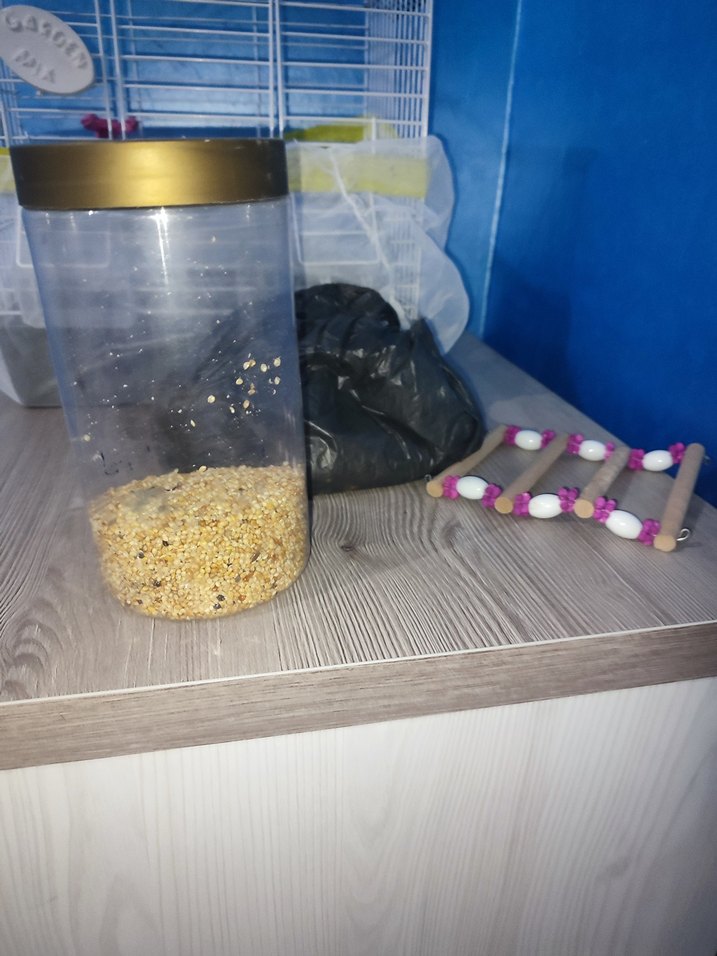 Gri Küçük Evcil Hayvan Kafesi - Görsel 2