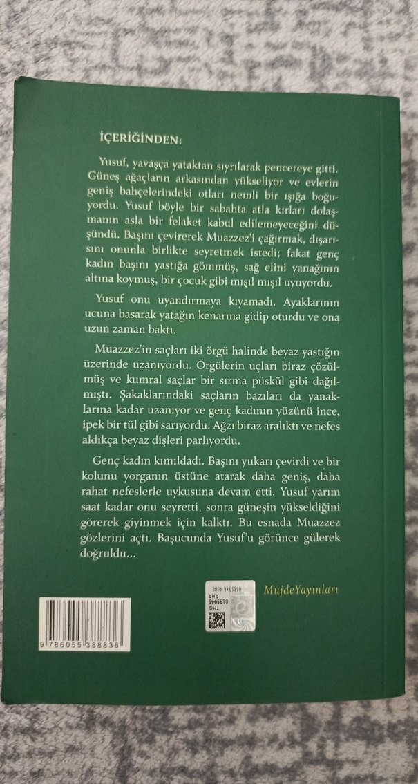 Sabahattin Ali- Kuyucaklı Yusuf & Kürk Mantolu Madonna ikili set - Görsel 5