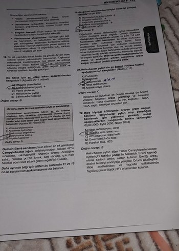  Beden Tus soruları mikrobiyoloji