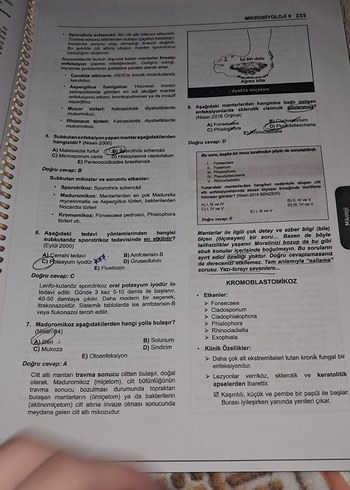  Beden Renk Tus soruları mikrobiyoloji