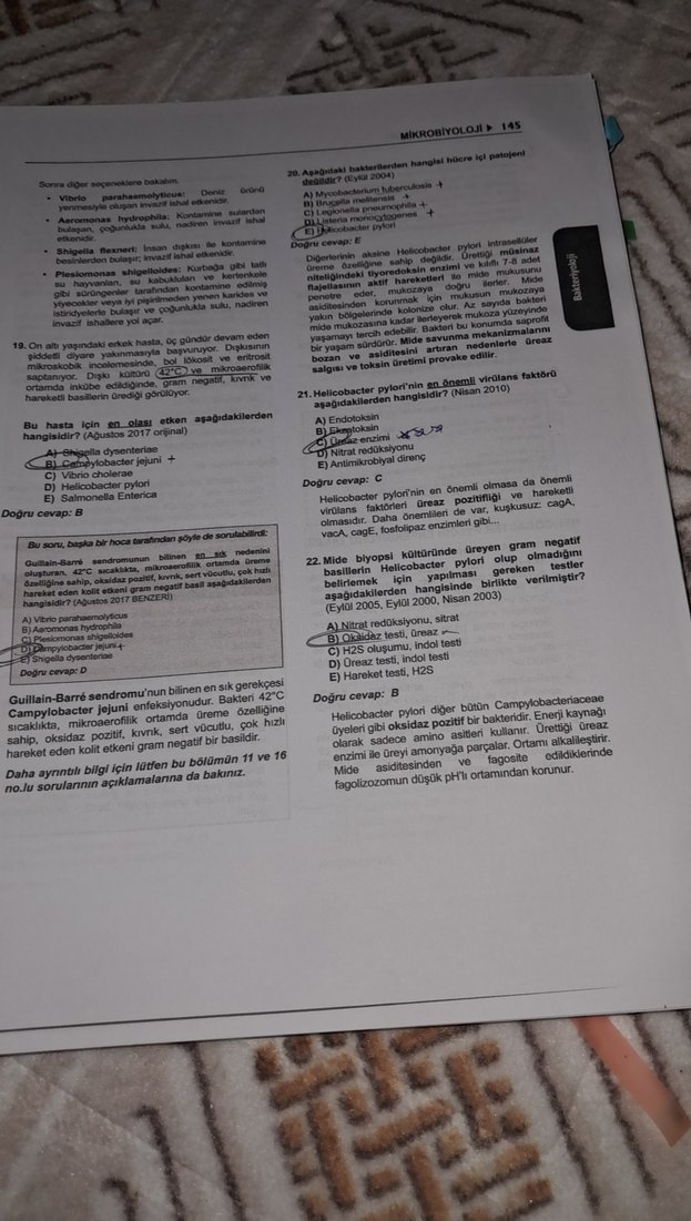 Klinisyen Tus soruları mikrobiyoloji - Görsel 3