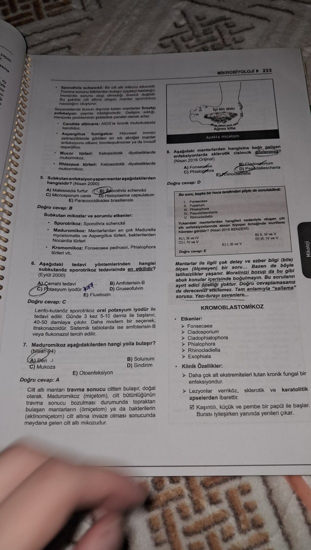 Klinisyen Tus soruları mikrobiyoloji - Görsel 4