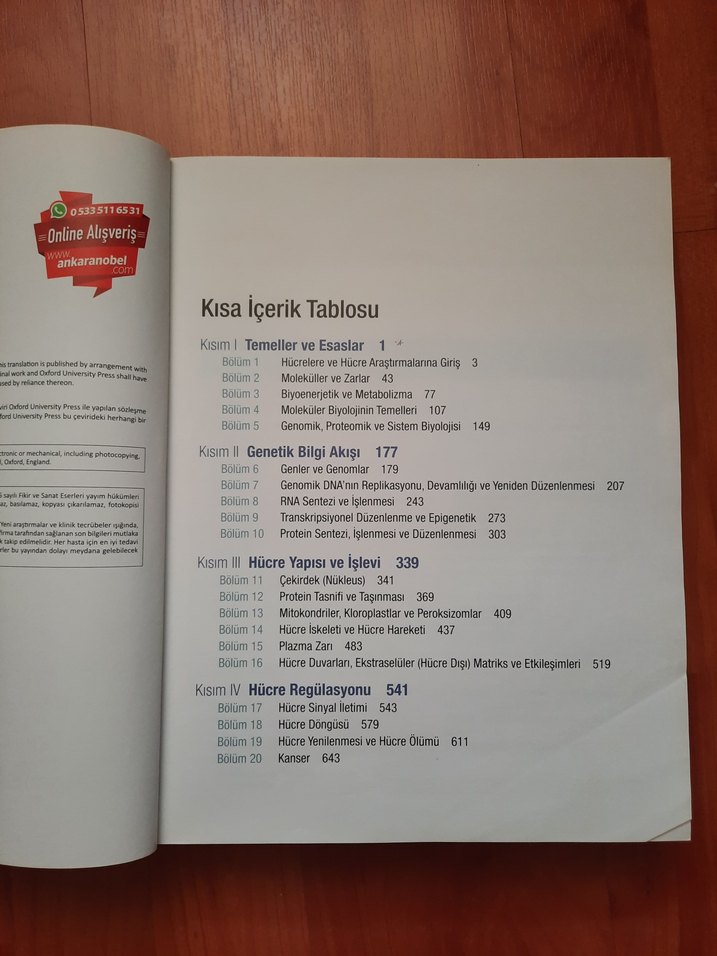 Hücre Moleküler Yaklaşım Sağlık Kitabı - Görsel 3