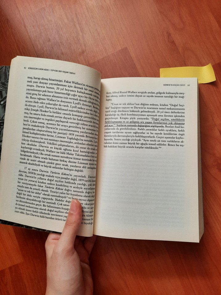 Kördüğüm Evrim Ağacı - David Quammen - Görsel 4