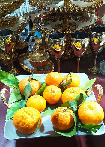 Yılan Desenli Bohem Çok Renkli Servis Tabağı - Görsel 2