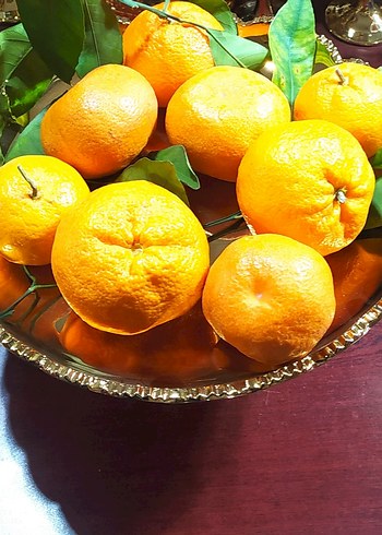 Parlak Altın Renkli Klasik Sunumluk - Görsel 6