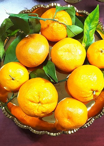 Parlak Altın Renkli Klasik Sunumluk - Görsel 3