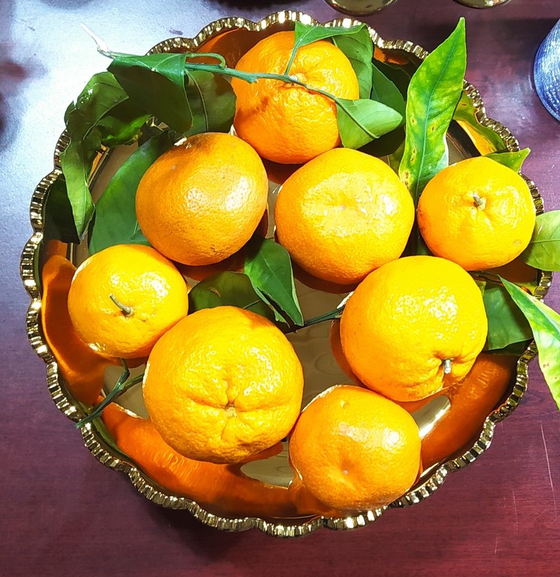 Parlak Altın Renkli Klasik Sunumluk - Görsel 3