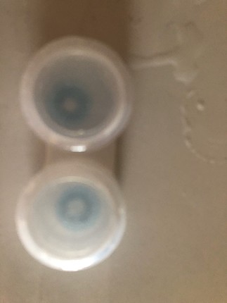 Labella pixie blue