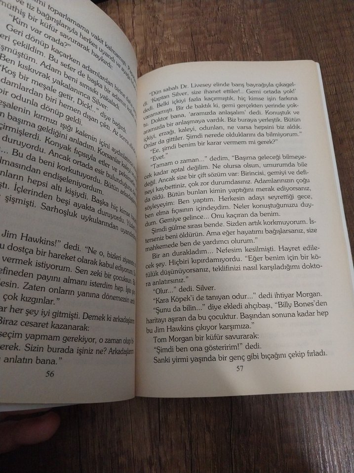 Define Adası - Robert Louis Stevenson - Görsel 3