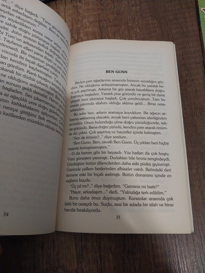 Define Adası - Robert Louis Stevenson - Görsel 4