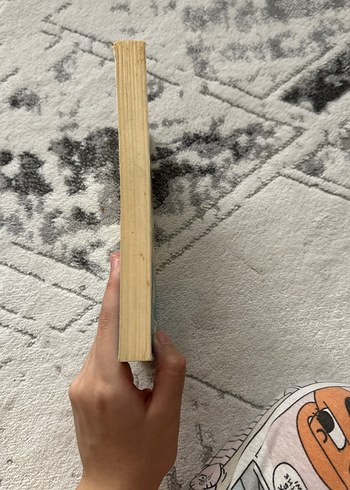 İçimdeki Müzik - Sharon M. Draper - Görsel 2