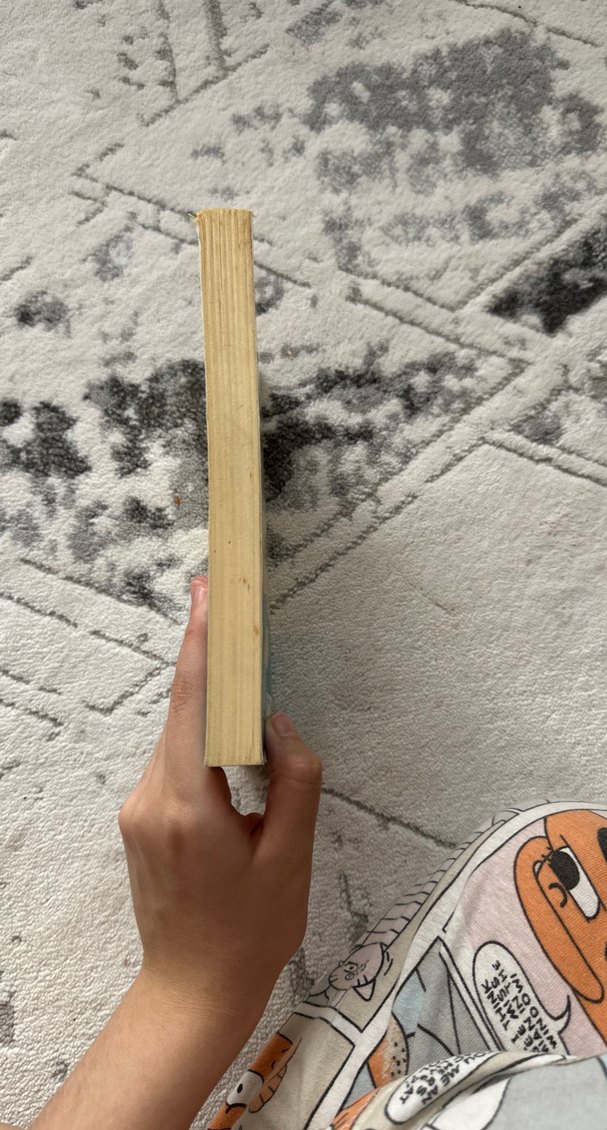 İçimdeki Müzik - Sharon M. Draper - Görsel 2