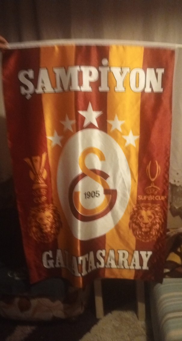 Galatasaray bayrak - Görsel 5