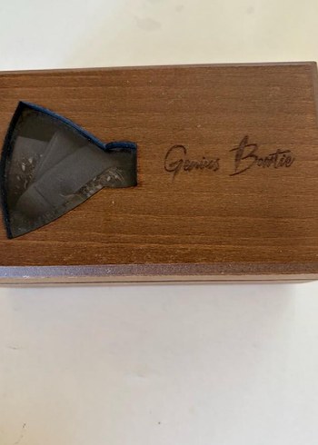 Genius Bowtie ozel tasarim papyon