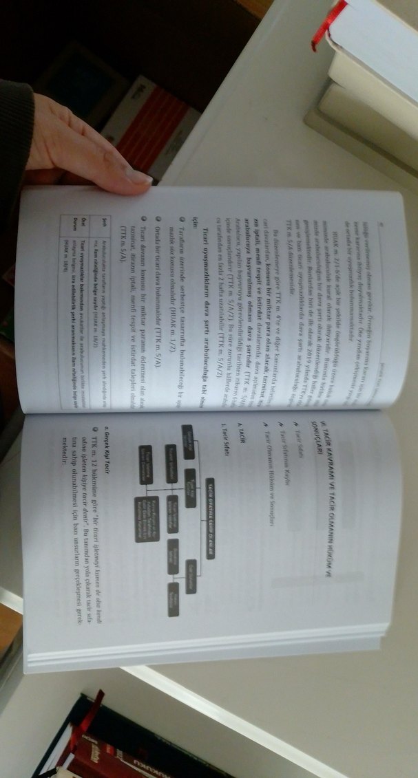 Şematik Ticari İşletme Hukuku - Seçkin Yayınları - Görsel 2
