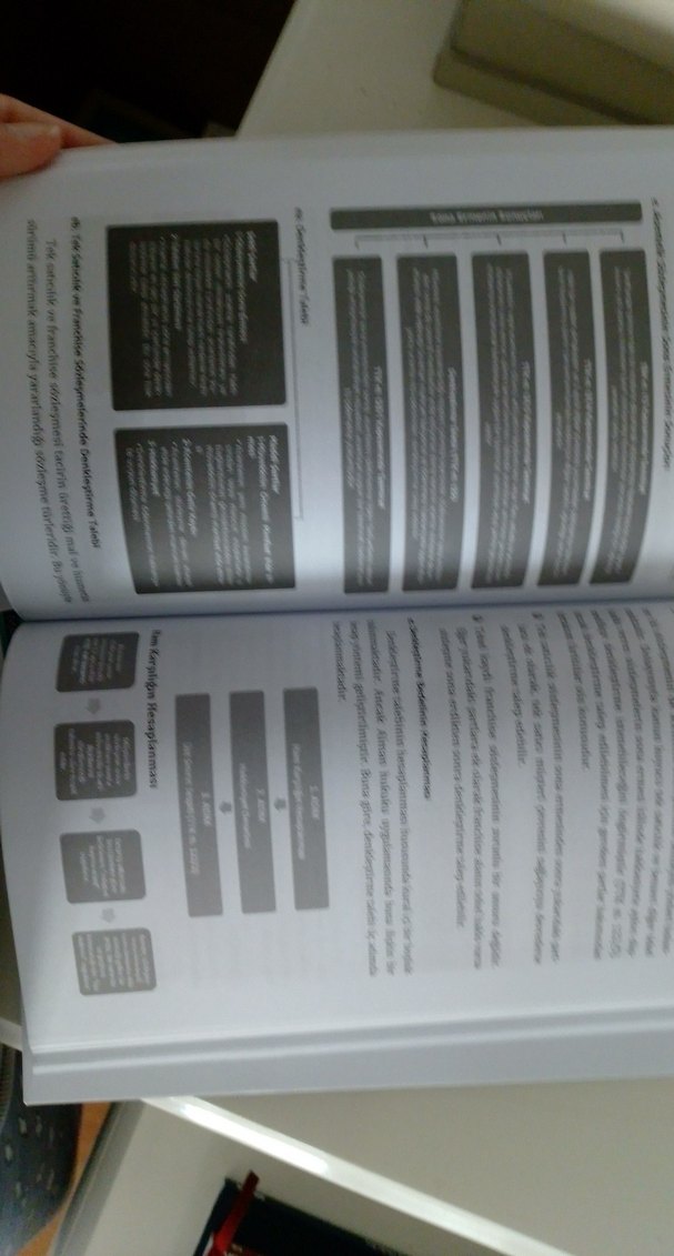 Şematik Ticari İşletme Hukuku - Seçkin Yayınları - Görsel 3