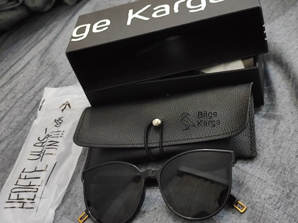 Bilge Karga Kadın Siyah Güneş Gözlüğü - Görsel 4