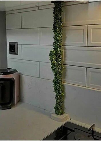 Sarmaşık 7 metre
