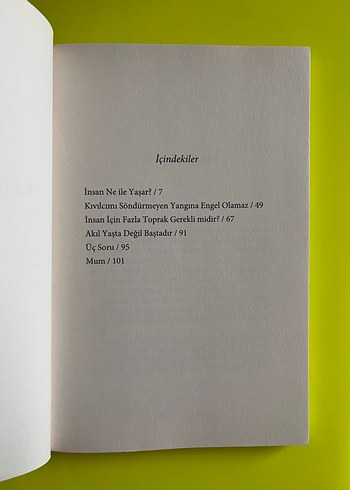 İnsan Ne İle Yaşar? - Lev Tolstoy - Görsel 4