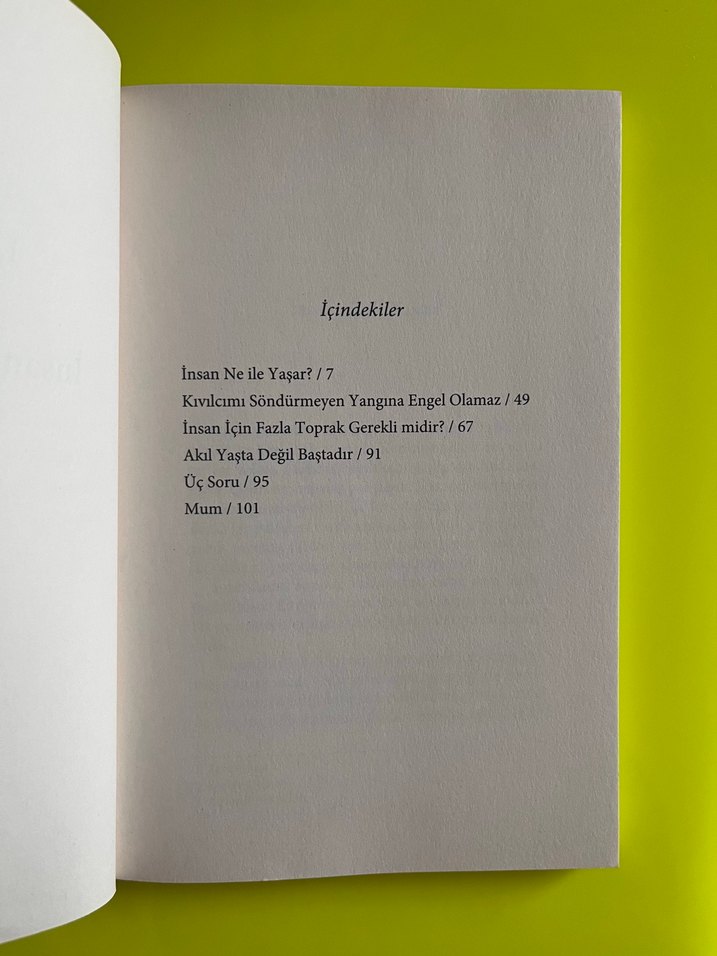 İnsan Ne İle Yaşar? - Lev Tolstoy - Görsel 4