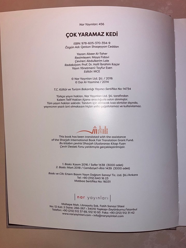 Çok Yaramaz Kedi - Abeer Al-Taher - Görsel 2