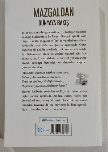 Mazgaldan Dünyaya Bakış - Şahımerdan Sarı - Görsel 2