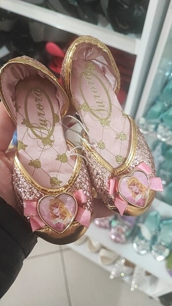 Walt Disney World 24