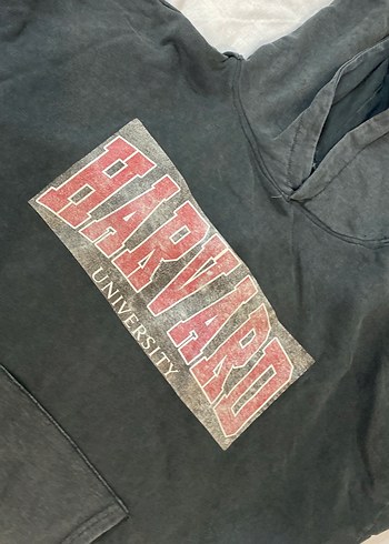 Kapüşonlu Gri Harvard Baskılı Sweatshirt - Görsel 2