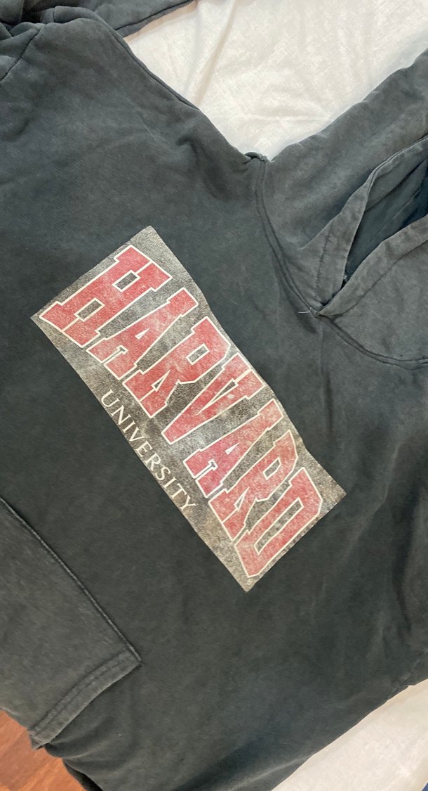 Kapüşonlu Gri Harvard Baskılı Sweatshirt - Görsel 2