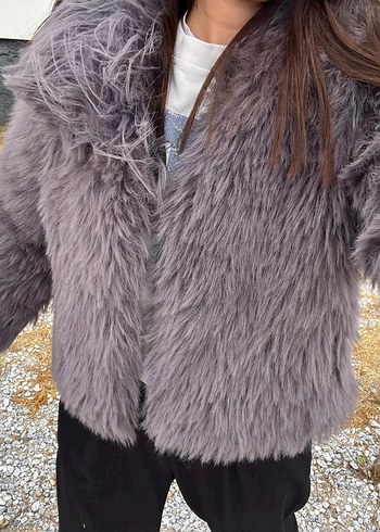 Gri Kürk - Görsel 3