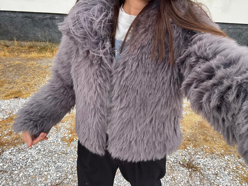 Gri Kürk - Görsel 3