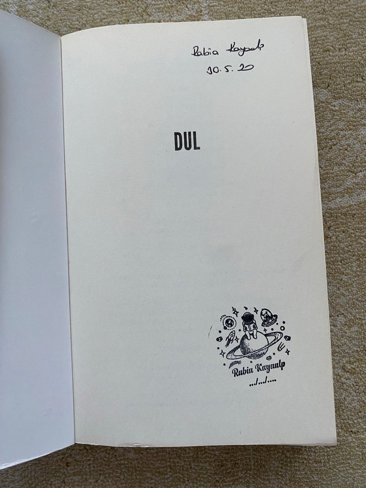 Dul - Fiona Barton - Görsel 2